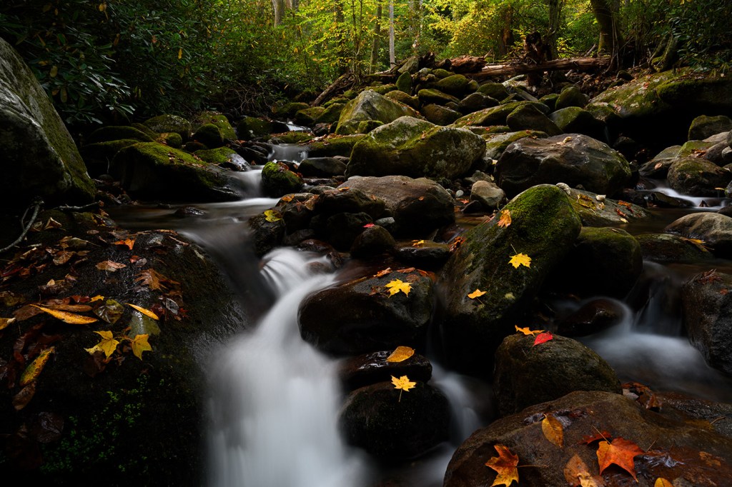 “Ở đây sương khói mờ nhân&nbsp;ảnh”
