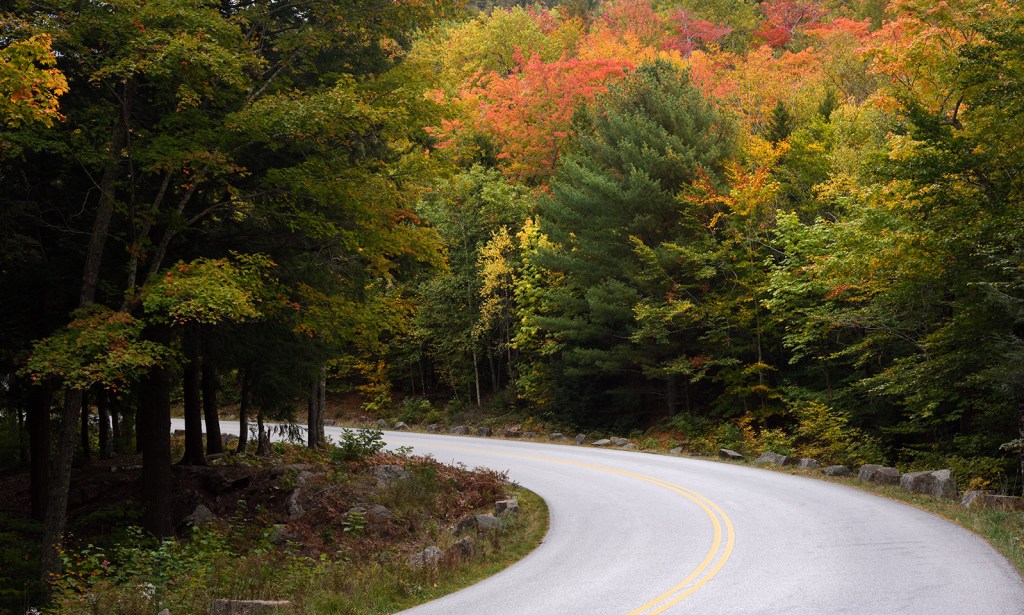 Trên những nẻo&nbsp;đường