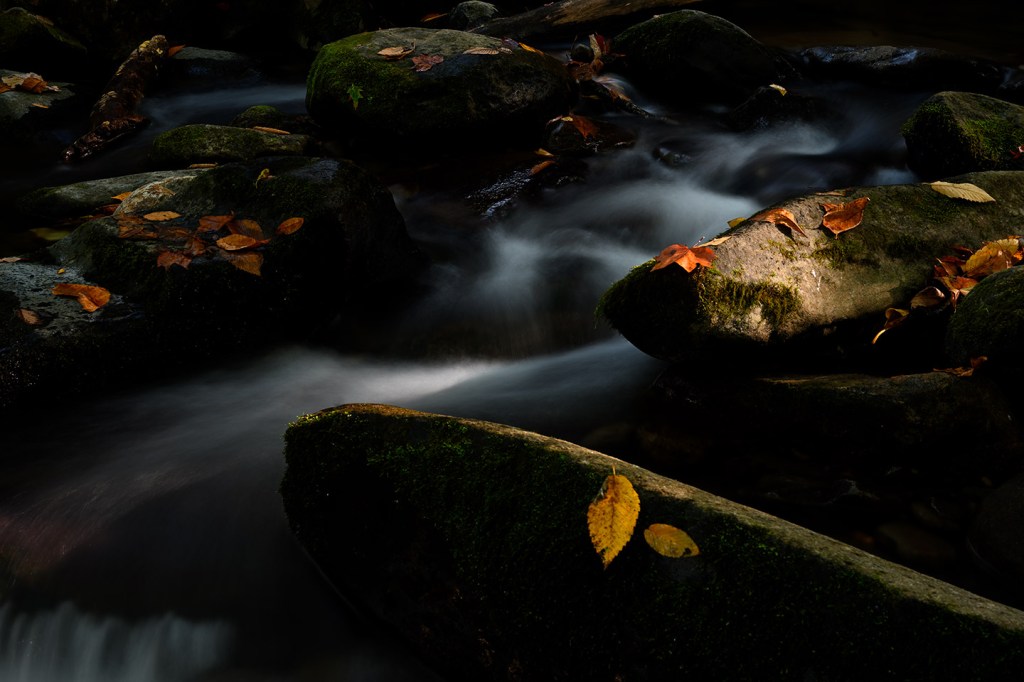 Flying with low-budget&nbsp;airlines