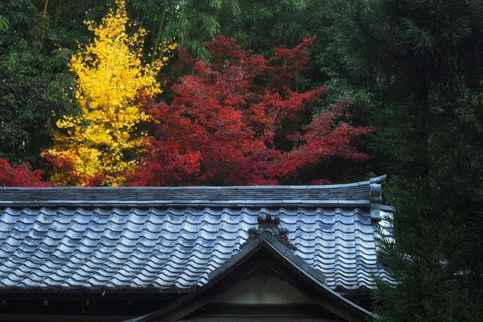 Nhật Bản: Những điều cần biết trước khi&nbsp;đến