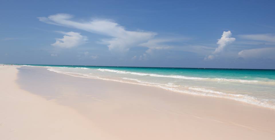 Traveling With Small Children and During&nbsp;Pregnancy