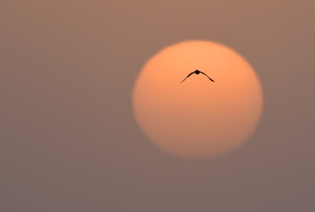 Ưu đãi trong Prime Day: Vật dụng thiết yếu khi du&nbsp;lịch