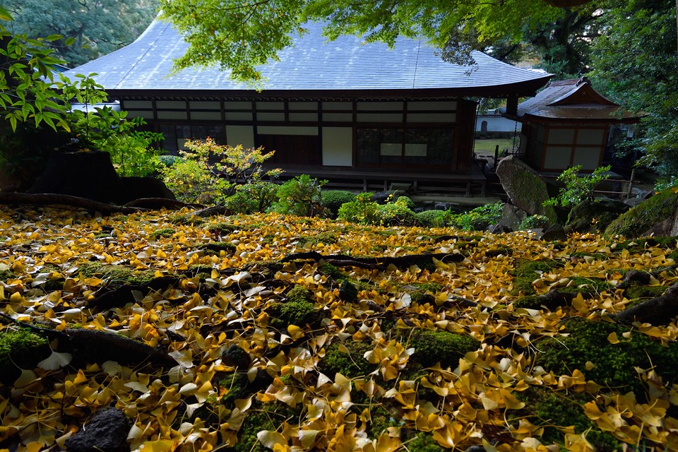 Hiểu người Nhật qua những quy tắc ứng xử tưởng chừng vô&nbsp;hình