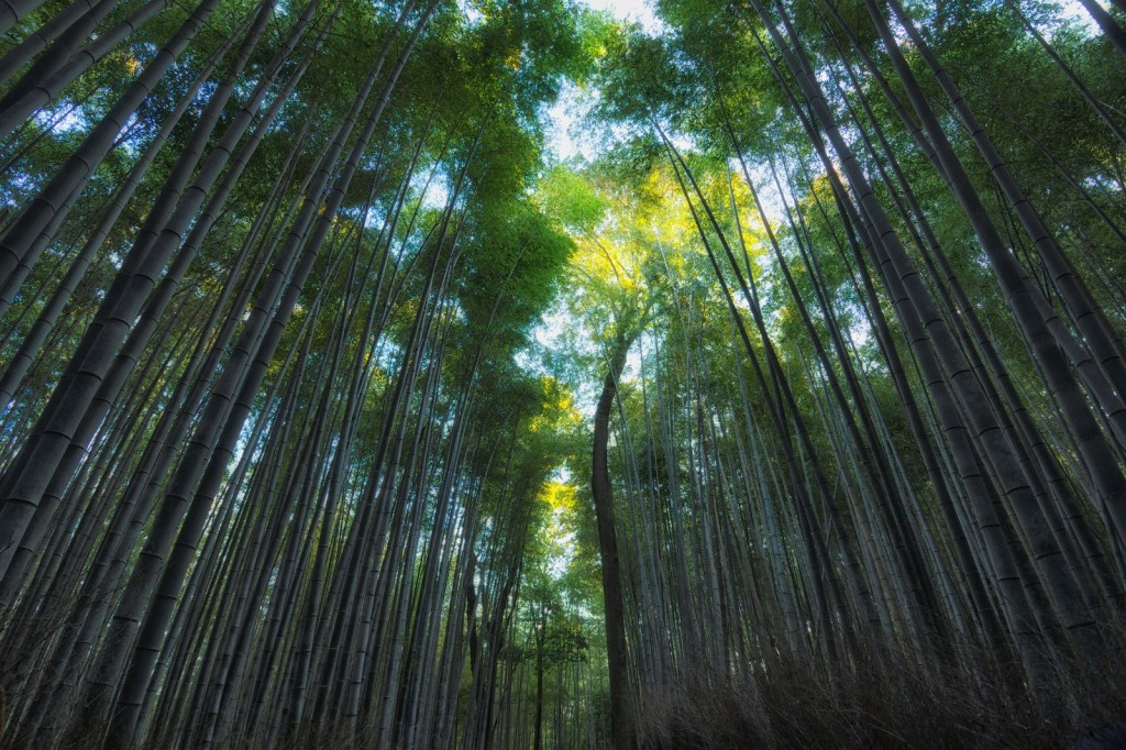 Understanding the Unspoken Rules of Japanese Manners and&nbsp;Etiquette