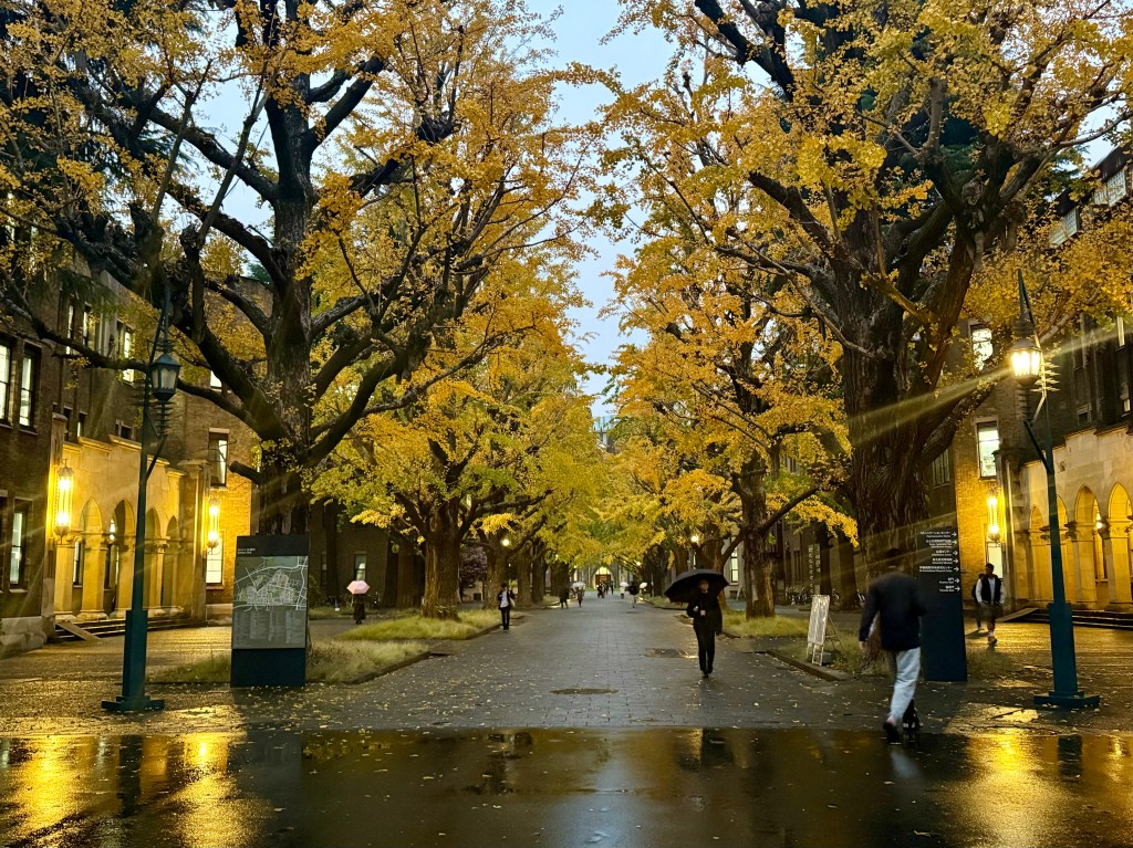 Metro & Bus Passes in Japan: What Actually Worked for&nbsp;Us