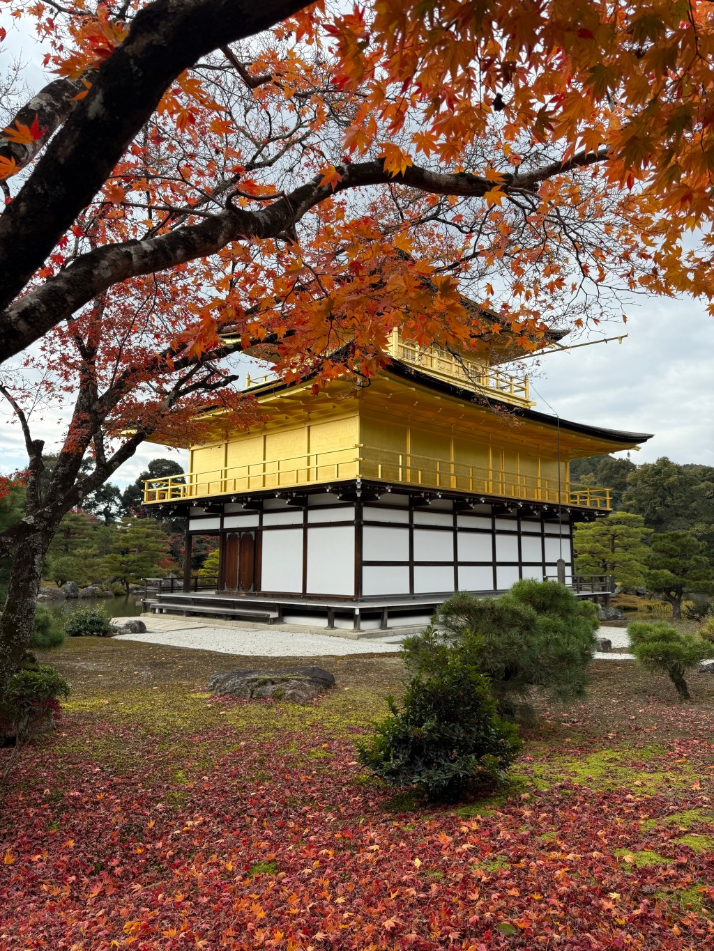 20 Mẹo Du Lịch Nhật Bản Giúp Chuyến Đi Của Bạn Suôn Sẻ & Thoải Mái&nbsp;Hơn