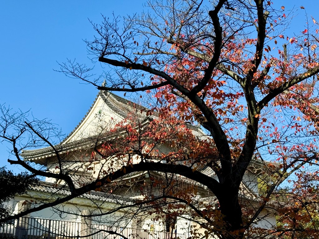 20 Japan Travel Tips To Make Your Trip Easier, Smoother, and More&nbsp;Enjoyable